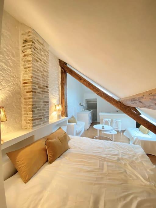 Charmant Studio Rue Pietonne Thonon-les-Bains Zewnętrze zdjęcie