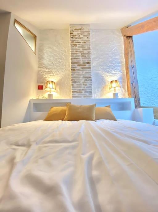 Charmant Studio Rue Pietonne Thonon-les-Bains Zewnętrze zdjęcie